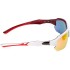 SF4016J Sunglasses